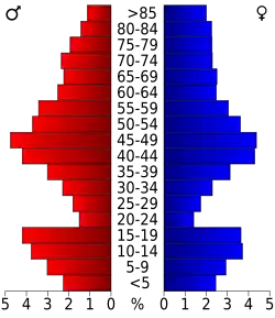 Bevolkingspiramide McLean County