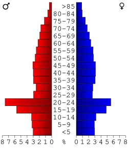 Bevolkingspiramide Mecosta County