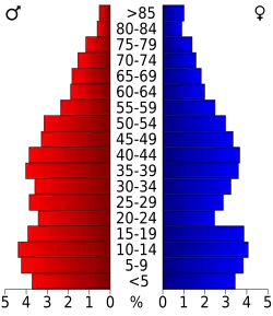 Bevolkingspiramide Medina County