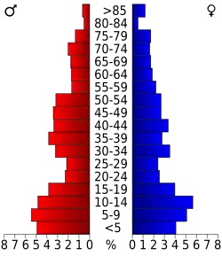 Bevolkingspiramide Mellette County