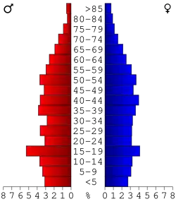 Bevolkingspiramide Menifee County