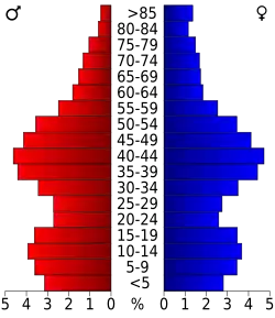 Bevolkingspiramide Merrimack County