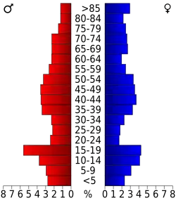 Bevolkingspiramide Mitchell County