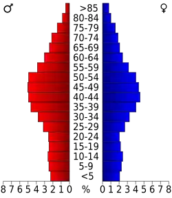 Bevolkingspiramide Monroe County