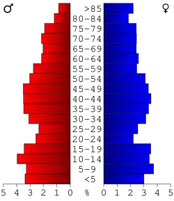Bevolkingspiramide Monroe County