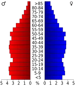 Bevolkingspiramide Monroe County