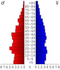 Bevolkingspiramide Montgomery County