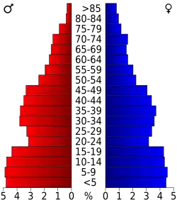 Bevolkingspiramide Moore County