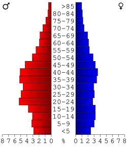 Bevolkingspiramide Morgan County