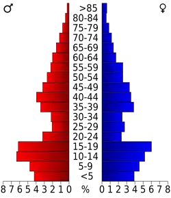 Bevolkingspiramide Morgan County