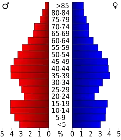 Bevolkingspiramide Newton County