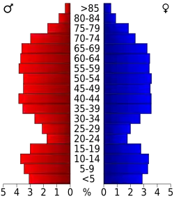 Bevolkingspiramide Nye County