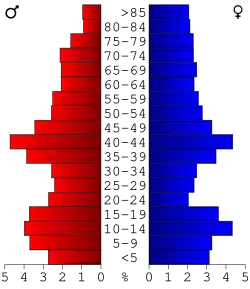 Bevolkingspiramide Osceola County
