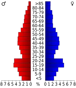 Bevolkingspiramide Otsego County