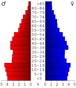 Bevolkingspiramide Panola County