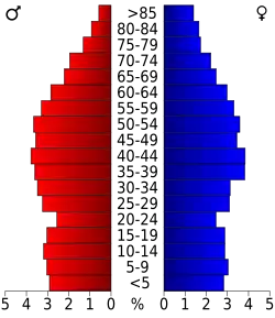 Bevolkingspiramide Patrick County