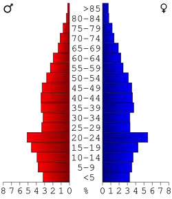 Bevolkingspiramide Peach County
