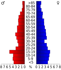 Bevolkingspiramide Perry County