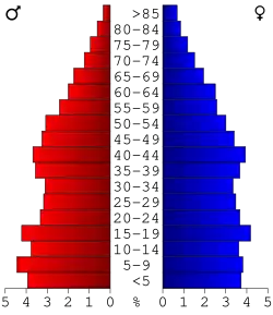 Bevolkingspiramide Perry County