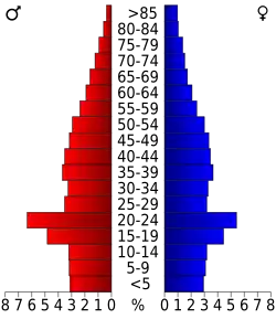 Bevolkingspiramide Pickens County