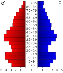 Bevolkingspiramide Pine County