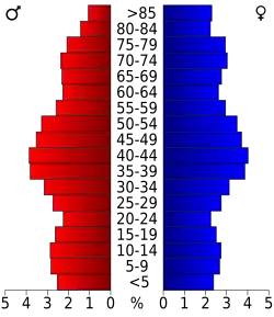 Bevolkingspiramide Pinellas County