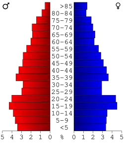 Bevolkingspiramide Polk County