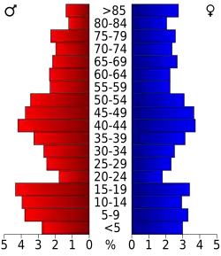 Bevolkingspiramide Polk County