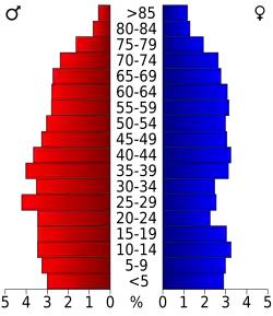 Bevolkingspiramide Polk County