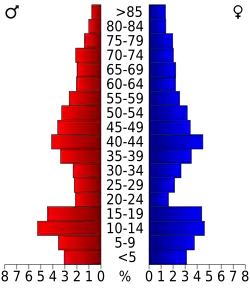 Bevolkingspiramide Pondera County