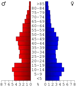 Bevolkingspiramide Power County