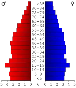 Bevolkingspiramide Prentiss County
