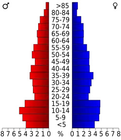 Bevolkingspiramide Presidio County