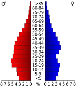 Bevolkingspiramide Prince George County