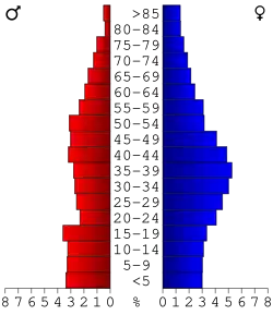 Bevolkingspiramide Pulaski County