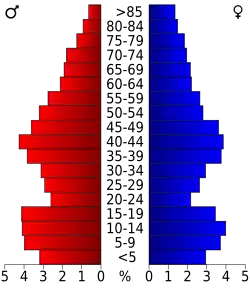 Bevolkingspiramide Pulaski County