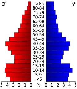 Bevolkingspiramide Putnam County