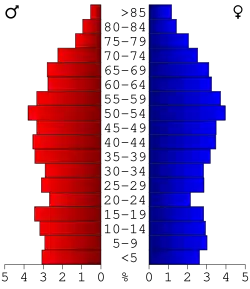 Bevolkingspiramide Rabun County
