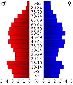 Bevolkingspiramide Rains County