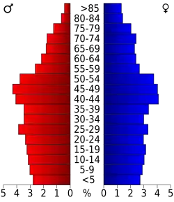 Bevolkingspiramide Raleigh County