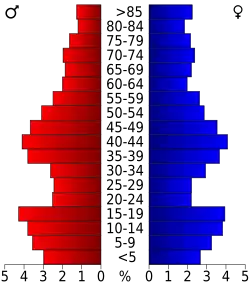 Bevolkingspiramide Ramsey County