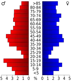 Bevolkingspiramide Rawlins County