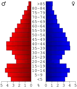 Bevolkingspiramide Ray County