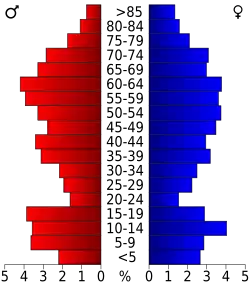 Bevolkingspiramide Real County
