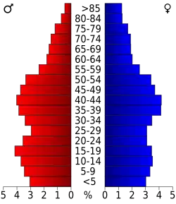 Bevolkingspiramide Rensselaer County