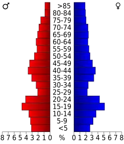 Bevolkingspiramide Rice County