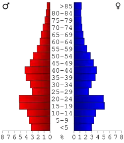 Bevolkingspiramide Rice County