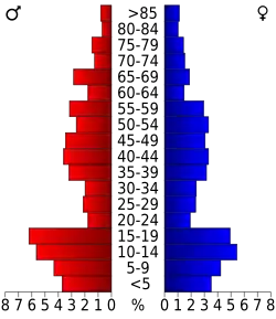 Bevolkingspiramide Rich County
