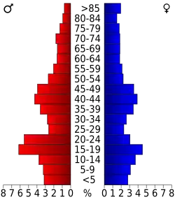 Bevolkingspiramide Richland County