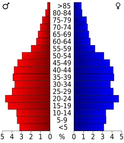 Bevolkingspiramide Richland County